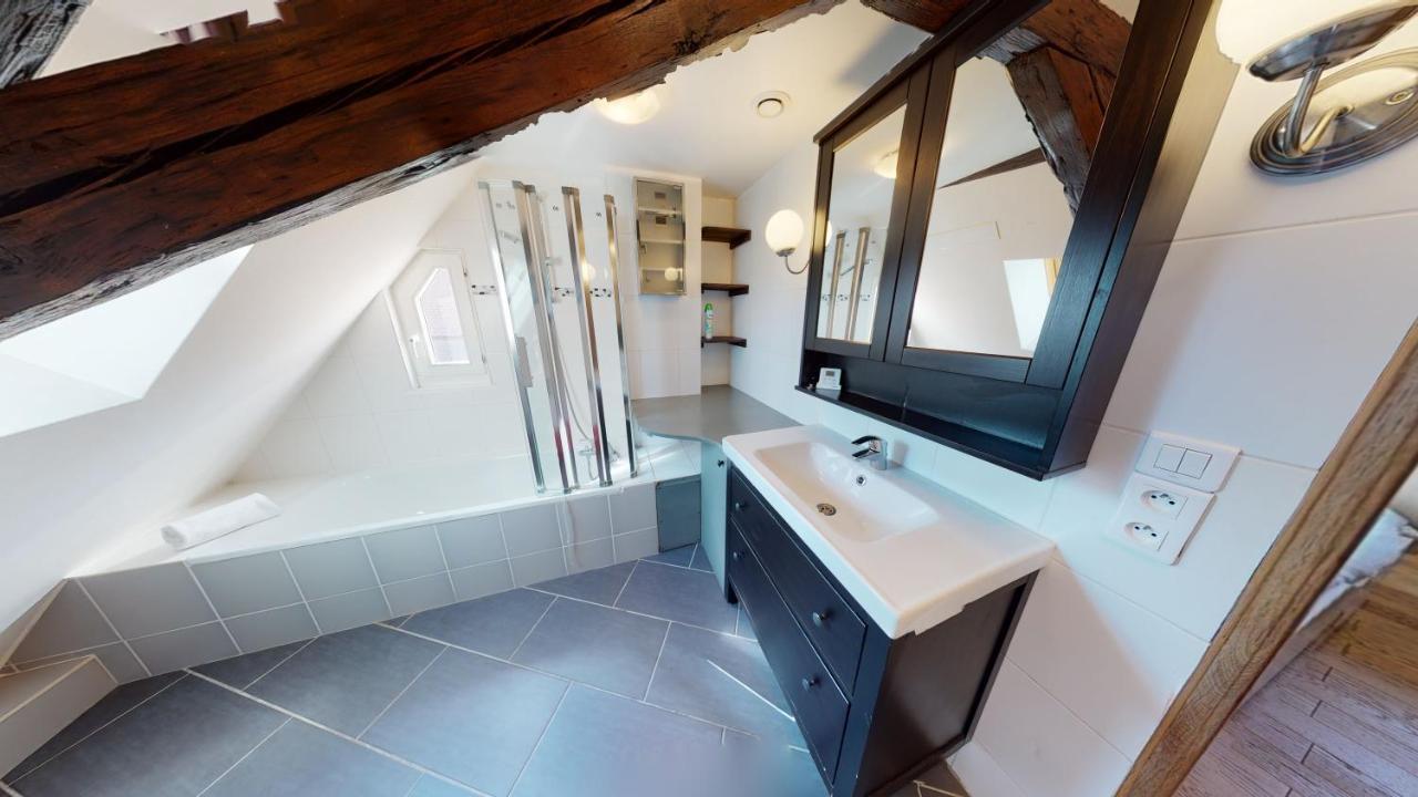 Spacious Duplex City Center שטרסבורג מראה חיצוני תמונה